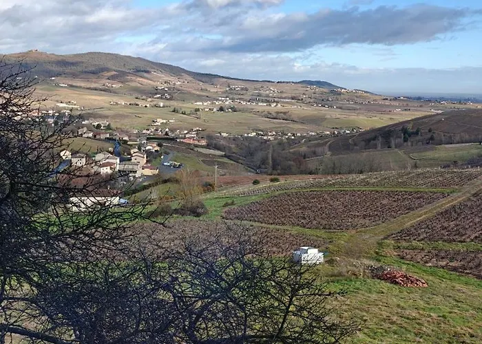 L'oree Du Vignoble Vaux-en-Beaujolais